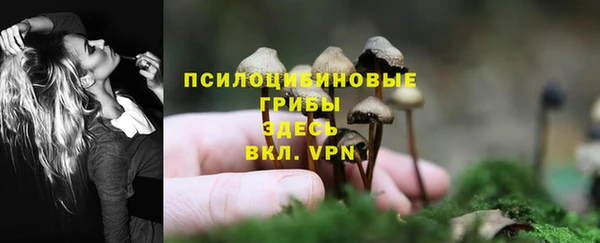 стаф Алексеевка