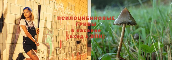 спиды Алзамай