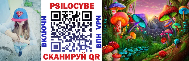гидра онион  Артём  Галлюциногенные грибы Magic Shrooms 